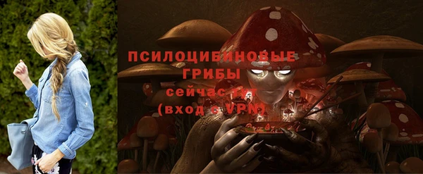 гашиш Абаза